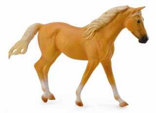 Palomino hřebec