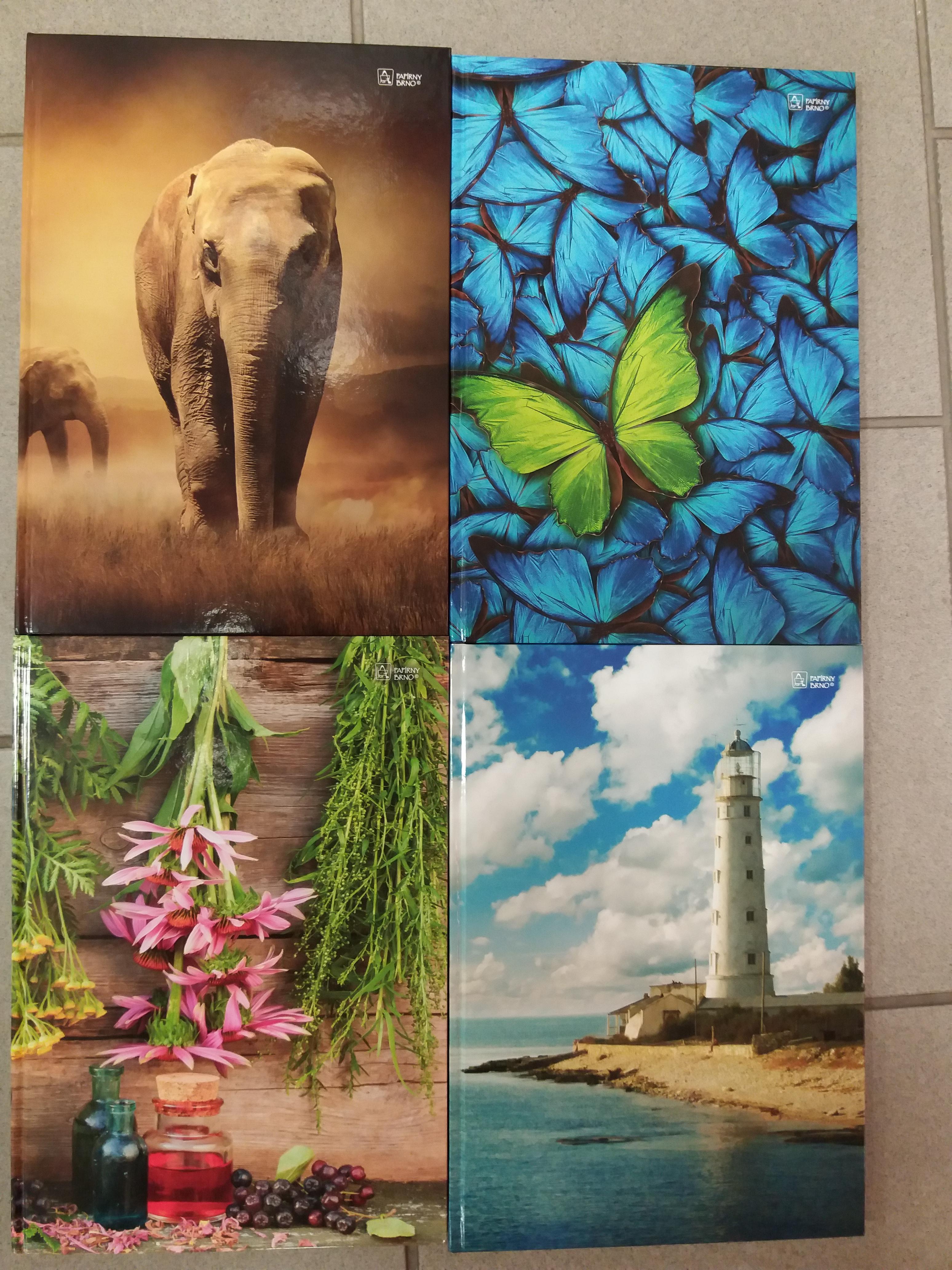 Kniha záznamní A4 linka 100l /CL 54104/  